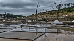 Salinas de Rio Maior 