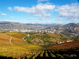 Douro vinhateiro 