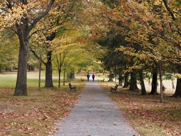 Passeando no Parque 