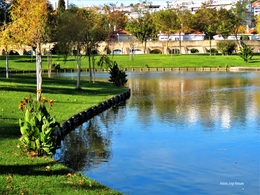 Lago do Parque. 