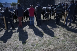 Feira dos Santos - Chaves 