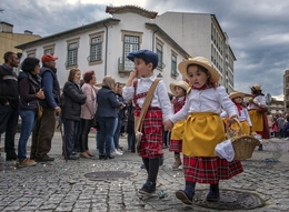 Desfile de carnaval 