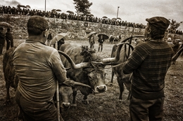 Feira dos Santos - Chaves 