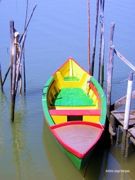 Barco de pesca artesanal. 