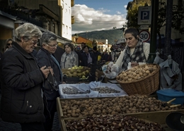 Feira dos Santos - Chaves 