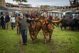 Feira dos Santos - Chaves 