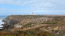 Cabo Carvoeiro 