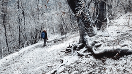 Winter landscape 