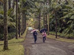 Passeio à Chuva 