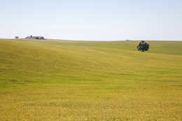 CAMPOS DE JERUMENHA 