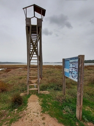 O observatório da passarada 