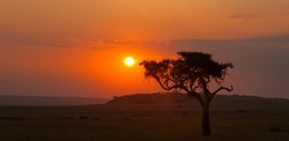 Nascer do Sol Africa 