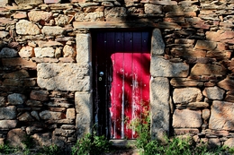 The Red Door 