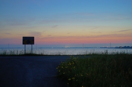 yellow flowers and lake 