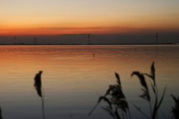 view of the lake at sunset 