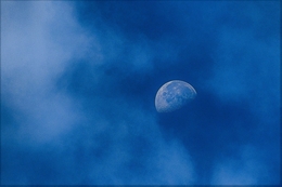 Blue moon 
