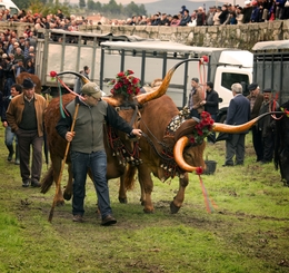 Feira dos Santos - Chaves 