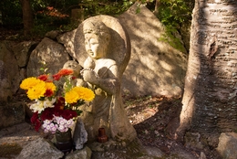 Stone Buddhas 