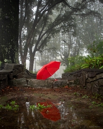 Red umbrella... 
