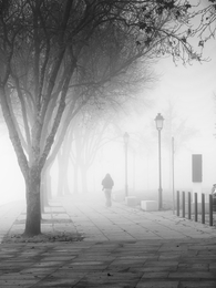 Neblinas matinais_01 