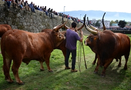 Feira dos Santos - Chaves 