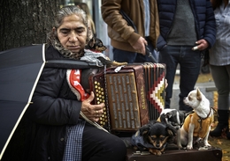 Feira dos Santos - Chaves 