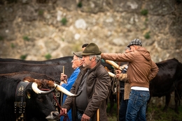 Feira dos Santos - Chaves 