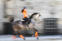 Woman on horseback 