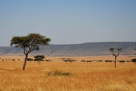 Uma Vista No Quênia 